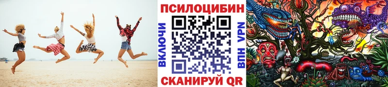 Псилоцибиновые грибы GOLDEN TEACHER  Далматово 